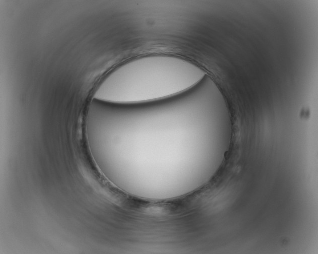 X0000115530358200911061132