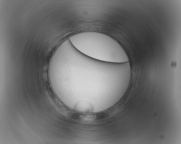 X0000115530359200911061132