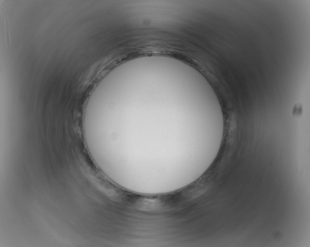 X0000115530361200911061132