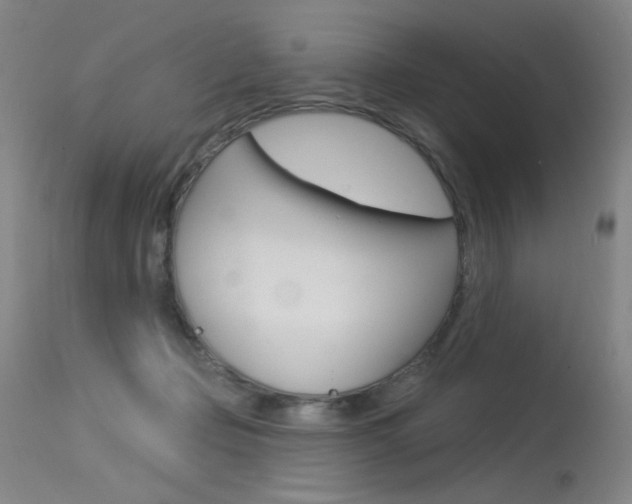X0000115530365200911061132