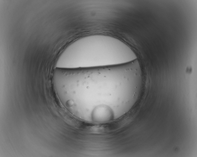 X0000115530366200911061132