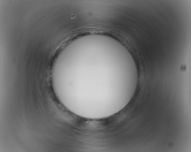 X0000115530367200911061132