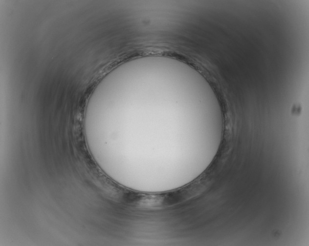 X0000115530369200911061132