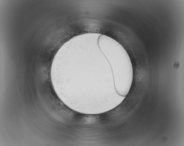X0000115530370200911061132