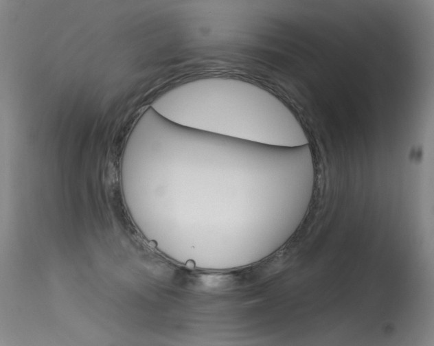 X0000115530371200911061132