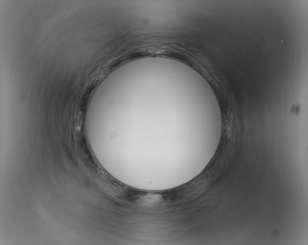 X0000115530374200911061133