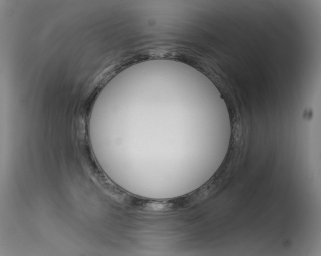 X0000115530375200911061133