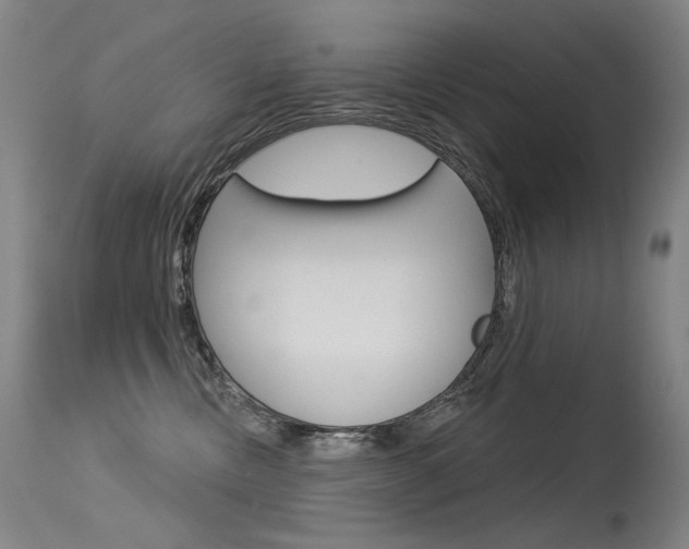 X0000115530378200911061133