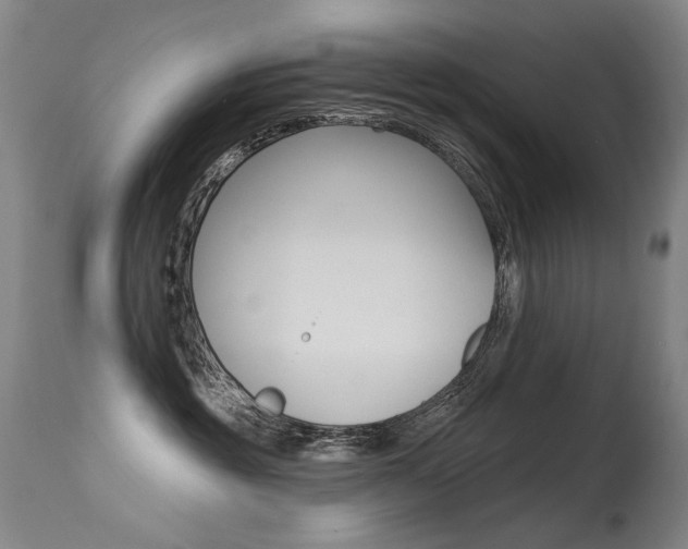 X0000115530381200911061133