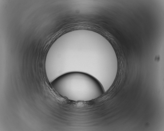 X0000115530382200911061133