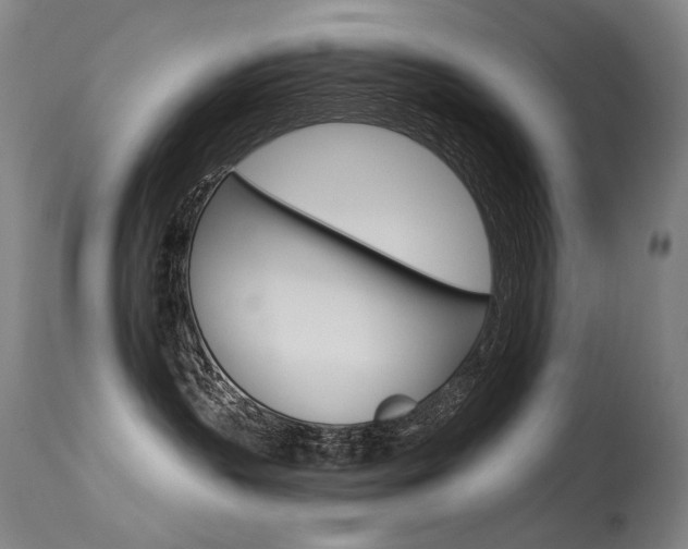 X0000115530383200911061133