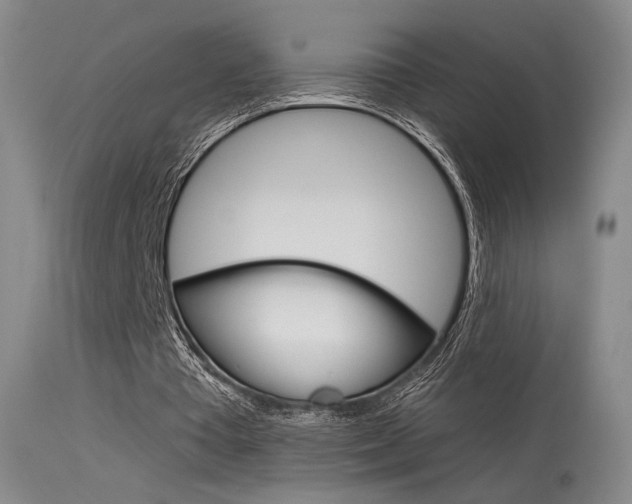 X0000115530385200911061132
