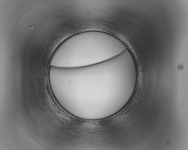 X0000115530386200911061132