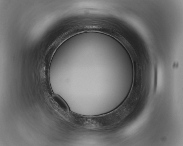 X0000115530387200911061132