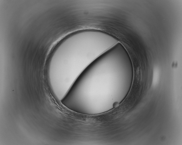 X0000115530388200911061132