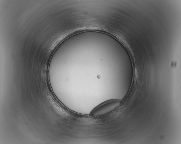 X0000115530389200911061132