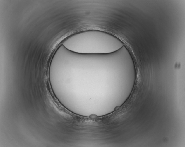 X0000115530390200911061132