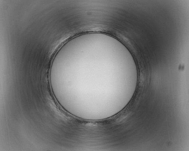 X0000115530394200911061132