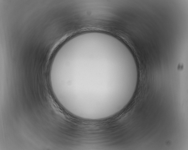 X0000115530395200911061132