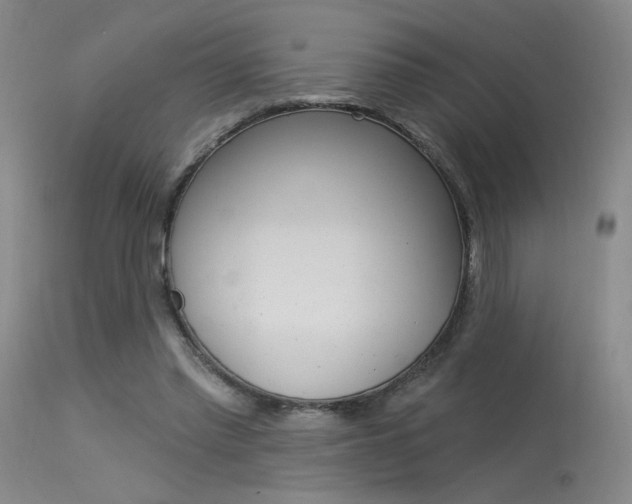 X0000115530397200911061132