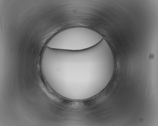 X0000115530398200911061132