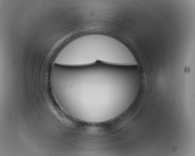 X0000115530400200911061132