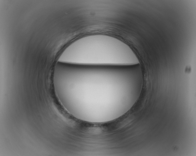 X0000115530404200911061132