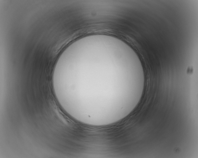 X0000115530405200911061132