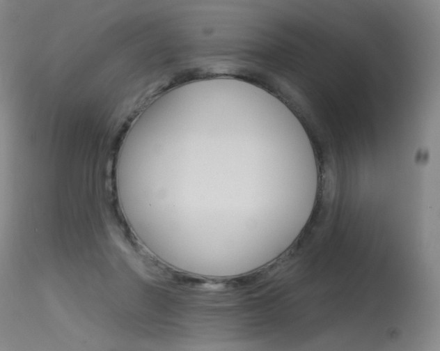 X0000115530406200911061132