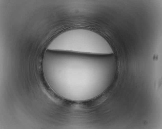 X0000115530408200911061132