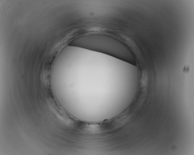 X0000115530409200911061131