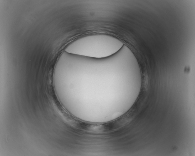 X0000115530410200911061131