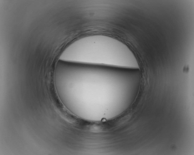 X0000115530412200911061131