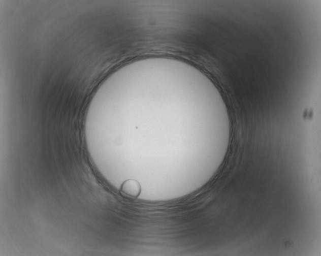 X0000115530415200911061131