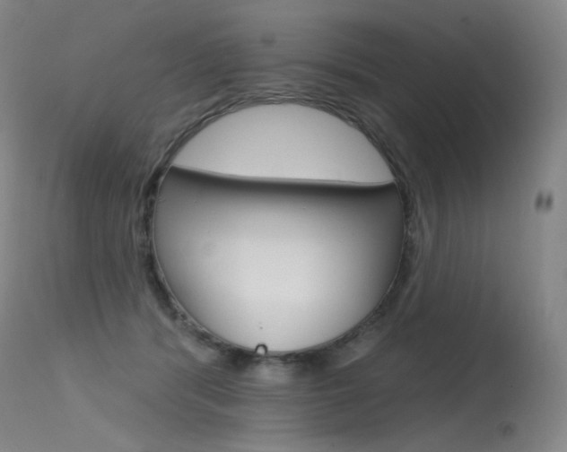 X0000115530416200911061131