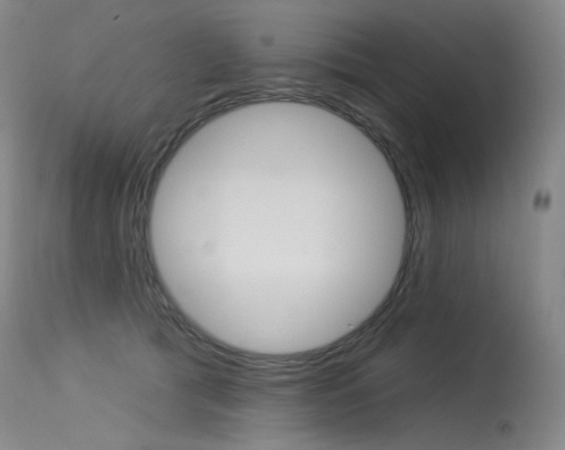 X0000115530417200911061131