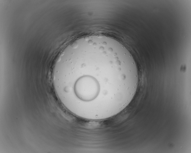 X0000115530418200911061131