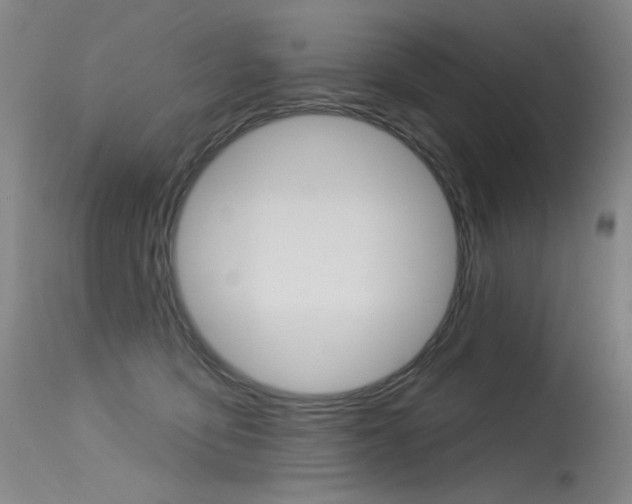 X0000115530419200911061131