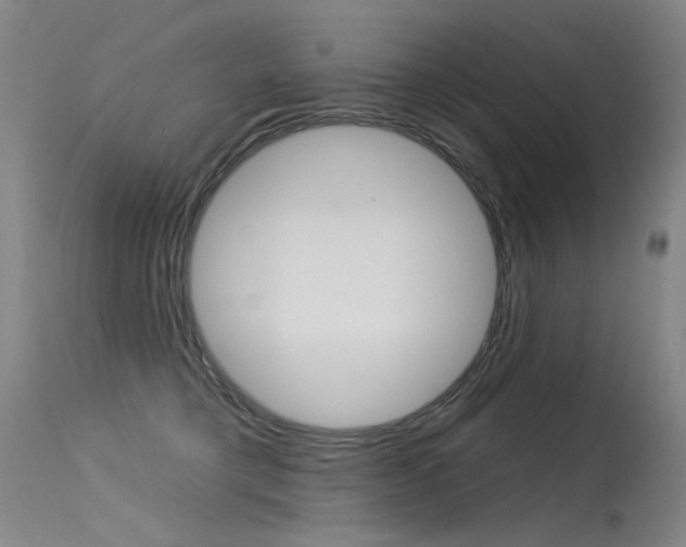 X0000115530421200911061131