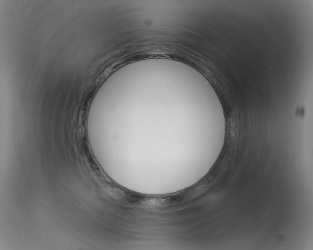 X0000115530422200911061131