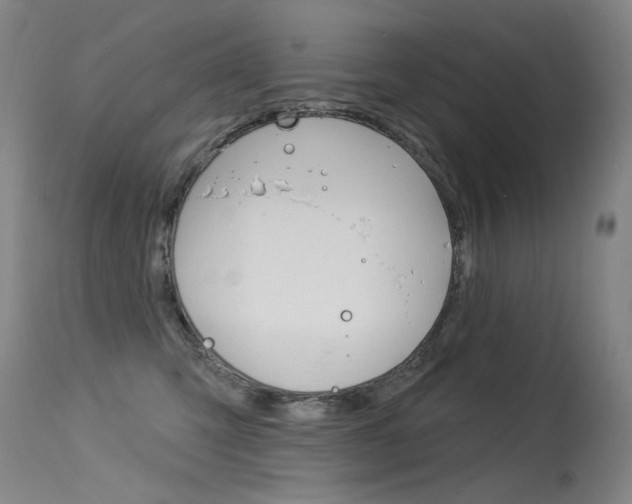 X0000115530423200911061131