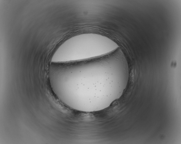 X0000115530424200911061131