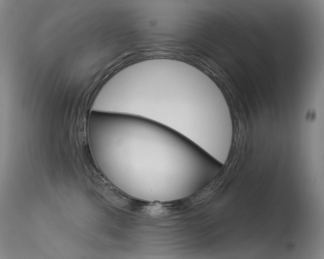 X0000115530425200911061131