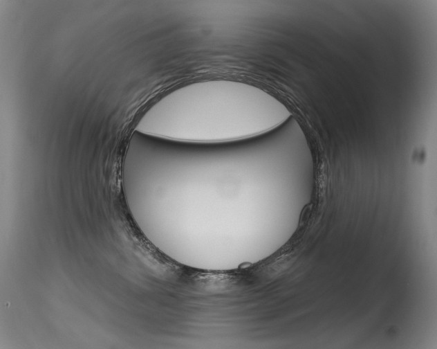 X0000115530428200911061131