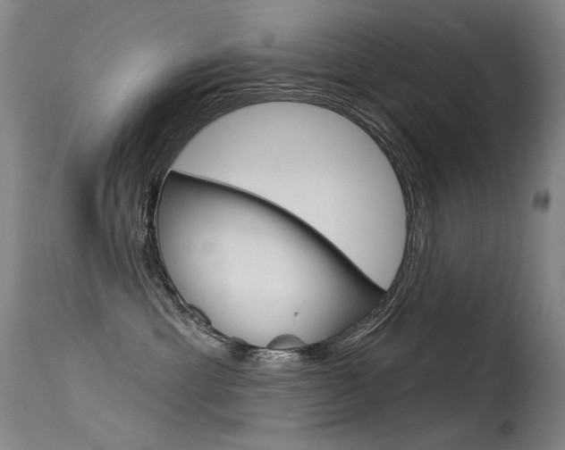 X0000115530429200911061131