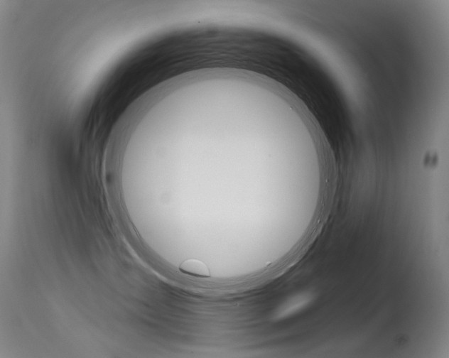 X0000115530431200911061131