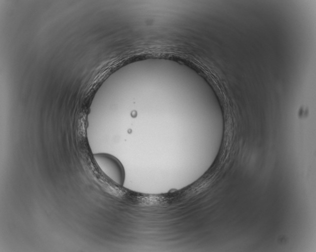 X0000115530432200911061131