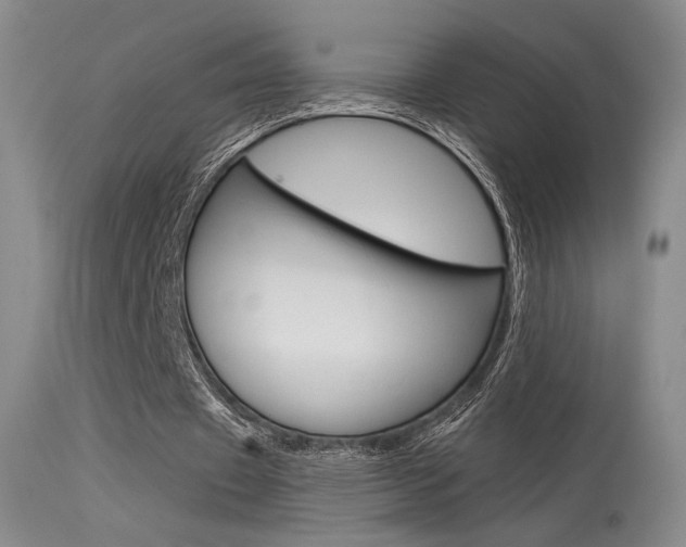 X0000115530433200911061131