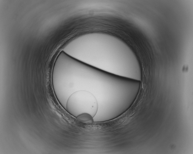 X0000115530435200911061131