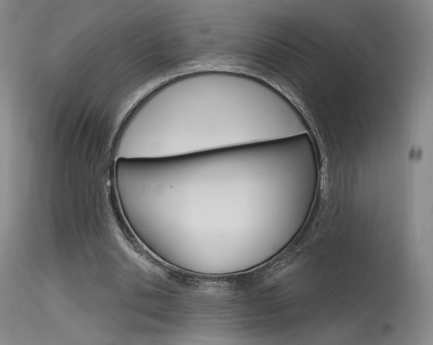 X0000115530438200911061131